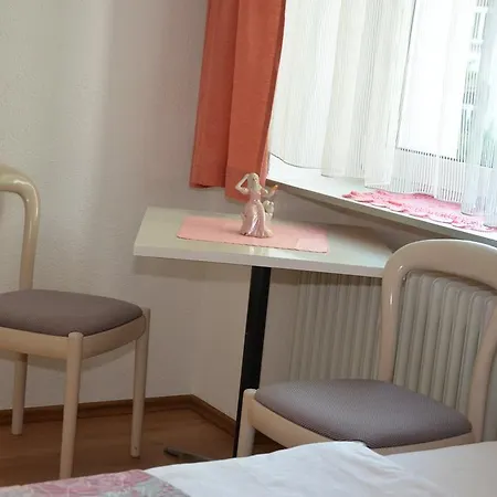 Guest house Renner 3*